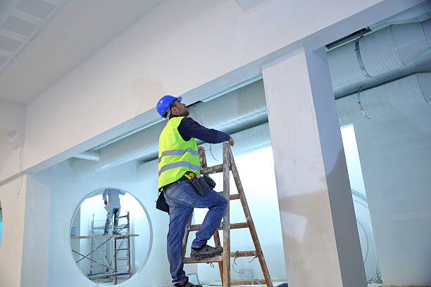 Best Eco-Friendly and Low-VOC Painting  in Lynwood, IL